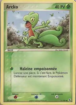 Geckarbor