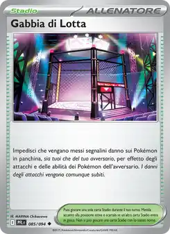 Gabbia di Lotta
