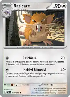 Rattikarl