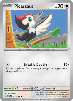 Pikipek