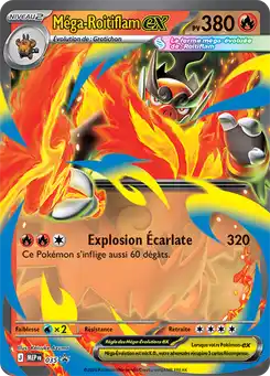 Méga-Roitiflam ex
