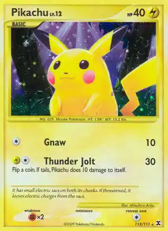Pikachu Niv. 12