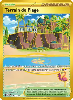 Terrain de Plage