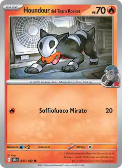Houndour del Team Rocket